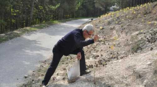 Geçen yıl 45 bin fidan dikti