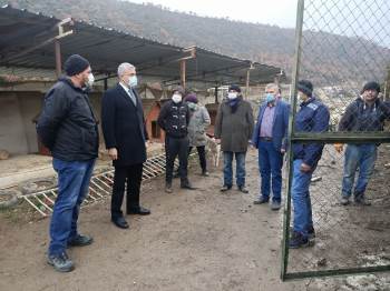 Geçici Hayvan Barınağına Yeni Ünite Çalışması
