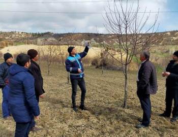 Gediz’De Çiftçilere Meyve Ağaçlarında Verim Ve Şekil Budama Eğitimi
