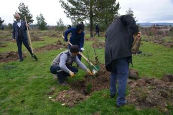 Gediz’De Fidan Dikimi Gerçekleştirildi
