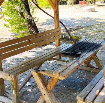 Gediz’De Kamelyalara Zarar Veren Kişi Veya Kişiler Tepki
