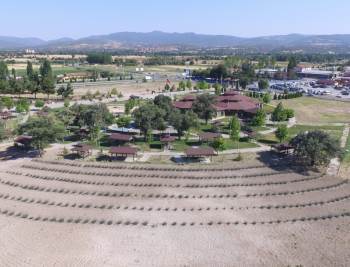 Gediz’De Lavantalar Yaşam Parka Ayrı Güzellik Kattı
