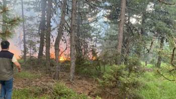 Gediz’De Orman Yangını Büyümeden Söndürüldü
