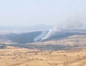 Gediz’De Orman Yangını
