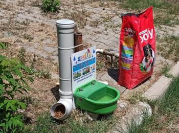 Gediz’De Sokak Hayvanları Unutulmadı
