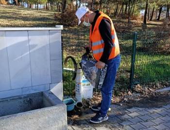 Gediz’De Sokak Hayvanları Unutulmadı
