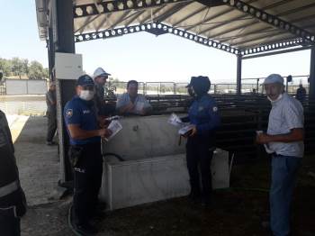 Gediz Hayvan Pazarında Kurban Bayramı Öncesi Sahte Para Uyarısı
