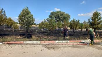 Gediz Organize Sanayi Bölgesinde 2 Dekarlık Otluk Alan Yandı
