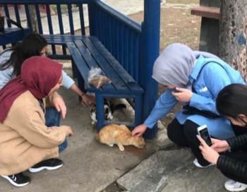 Gediz Sağlık Hizmetleri Myo’Da "Bir Kap Su, Bir Kap Mama" Etkinliği
