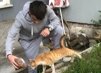 Gediz Shmyo’Da Sokak Hayvanlarına "1 Kap Su, 1 Kap Mama"Etkinliği
