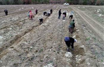 Gelir Getirici Türlerle Köylülere Destek
