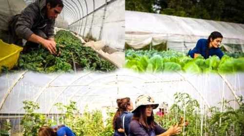 GENÇ ÇİFTÇİYE 4 MİLYON HİBE