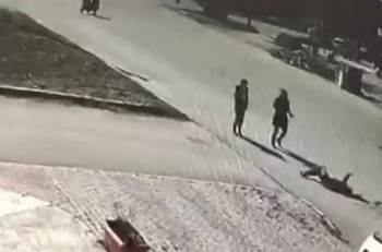 Genç Kıza Çarptı, "Taşa Vurdum" Deyip Yoluna Devam Etti
