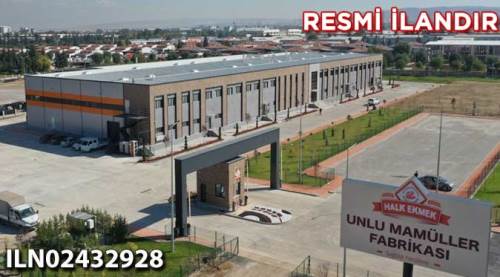 Gezen tavuk yumurtası alımı