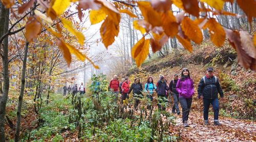Gezginler Domaniç’in tadını çıkardı