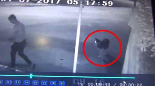 Gezmeye gelince yakalandı!