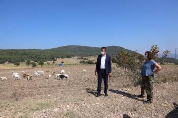 Girişimci Kadın Hayvan Sayısını 70’Den 225’E Çıkarttı
