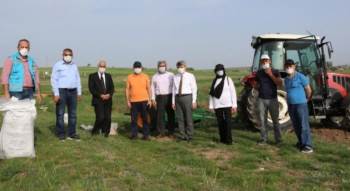 Glütensiz Mutfak Projesi’Ne Bap’Tan Destek
