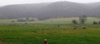 Göç Eden Leylekler Bilecik’Te Mola Verdi

