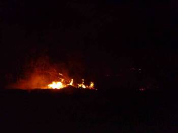 Göksu Nehri Kenarında Çıkan Yangın Kısa Sürede Söndürüldü
