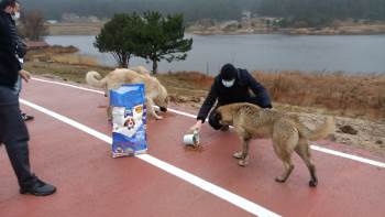 Gölcük Mesire Alanındaki Hayvanlar Unutulmadı
