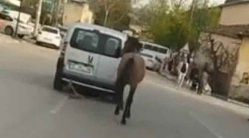 Görenlere bu nasıl vicdan dedirten anlar!