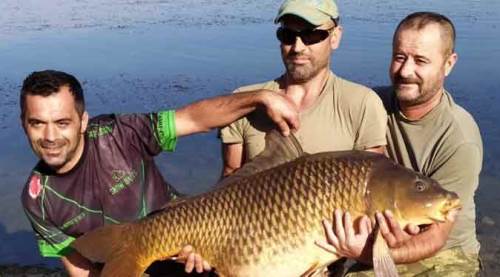 Görenleri hayrete düşürdü! Tam 27,5 kilo!