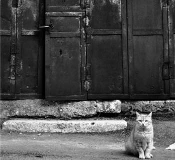 Gsf Öğrencisinden Anlamlı Başarı
