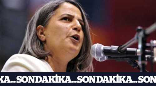 Gültan Kışanak ve Fırat Anlı gözaltına alındı