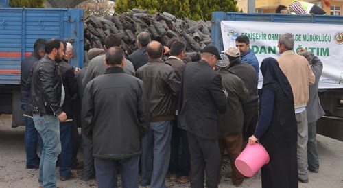 Günyüzü'nde ceviz ve çam fidanı