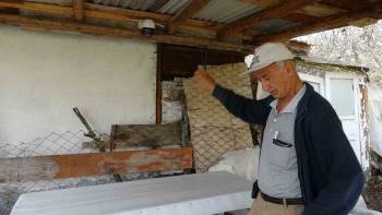 Güvenlik Kamerasına Zarar Veren Ayı Görüntülere Yansıdı
