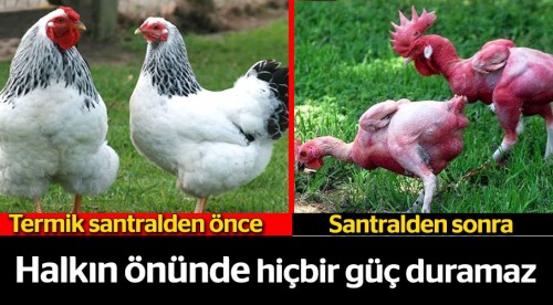 Halkın önünde hiçbir güç duramaz!