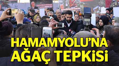 Hamamyolu'nda ağaç protestosu
