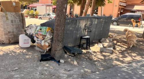 Hamamyolu’nda çöplerin arasında görülen fare tedirginlik yarattı