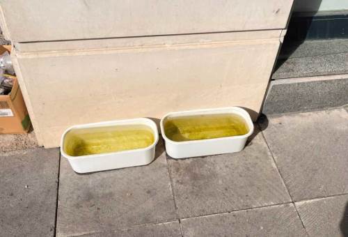 Hamamyolu’nda esnaf sokak hayvanlarını unutmuyor