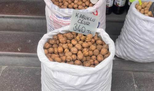 Hamamyolu’nda kabuklu ceviz 340 liradan satılıyor