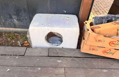 Hamamyolu’nda sokak hayvanları için anlamlı duyarlılık