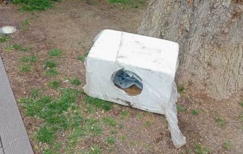 Hamamyolu’nda sokak hayvanlarına duyarlı dokunuş