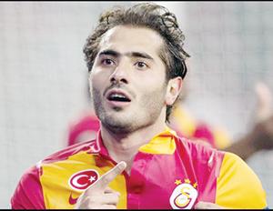 Hamit yok