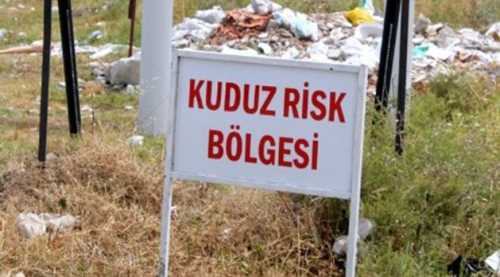 Han'da bir mahalleye kuduz karantinası