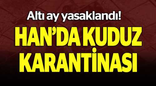 Han'da kuduz karantinası, 6 ay yasaklandı