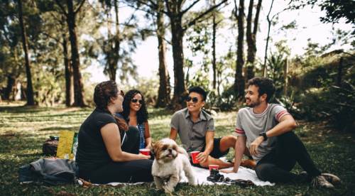 Hasbihal Ne Demek, Hasbihal TDK Anlamı Nedir?