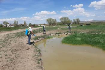 Haşerelere Karşı Başarılı Mücadele
