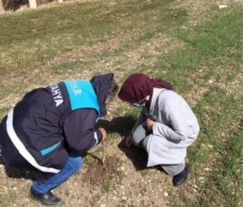 Haşhaş Ekili Alanlar Kontrol Edildi
