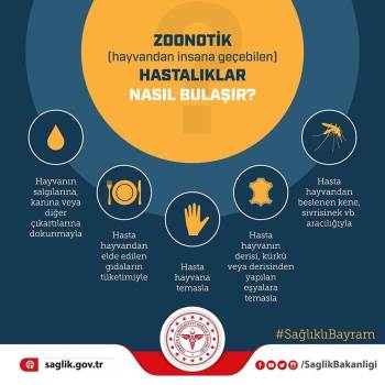 Hastaneden ’Zoonotik’ Uyarısı
