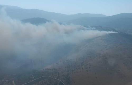 Hatay’da orman yangını
