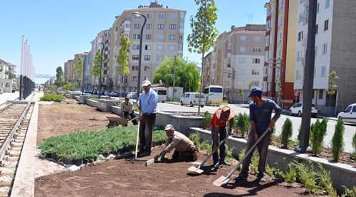 Hatboyu Bulvarı yeşilleniyor