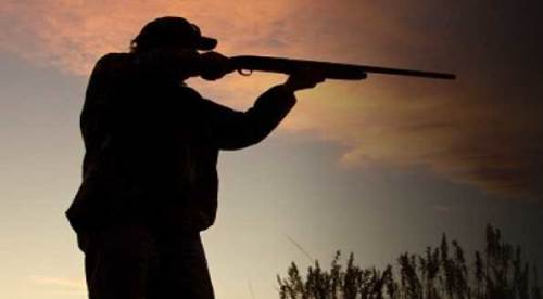 Hatipoğlu'nun "avcılık" macerasının perde arkası: Bedeli 100 bin TL!