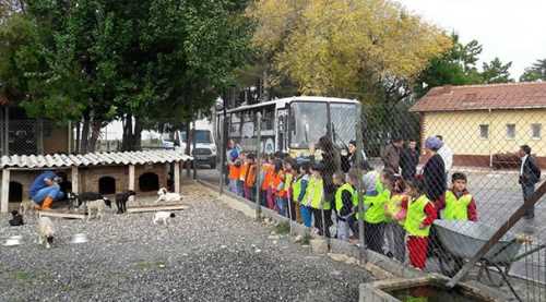 Hayvan barınağına ziyaretçi akını