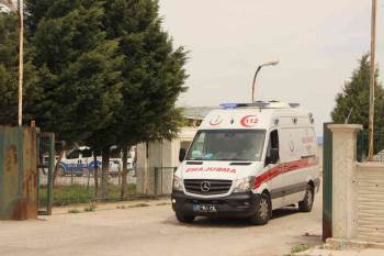 Hayvan Kesimi Bırakıp Kavgaya Tutuştular
